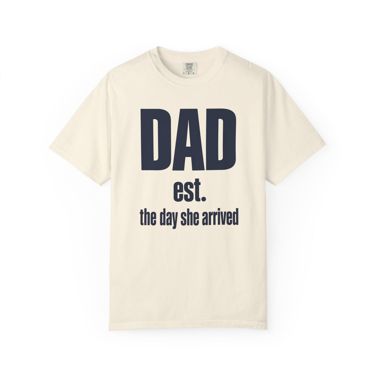Dad Est. the Day She Arrived New Dad T-Shirt