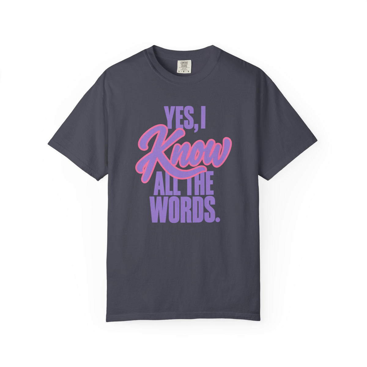 Yes, I Know All the Words Dad of Girls T-Shirt