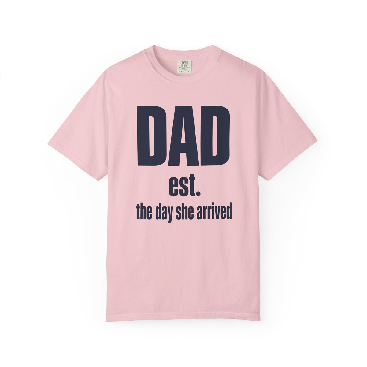 Dad Est. the Day She Arrived New Dad T-Shirt