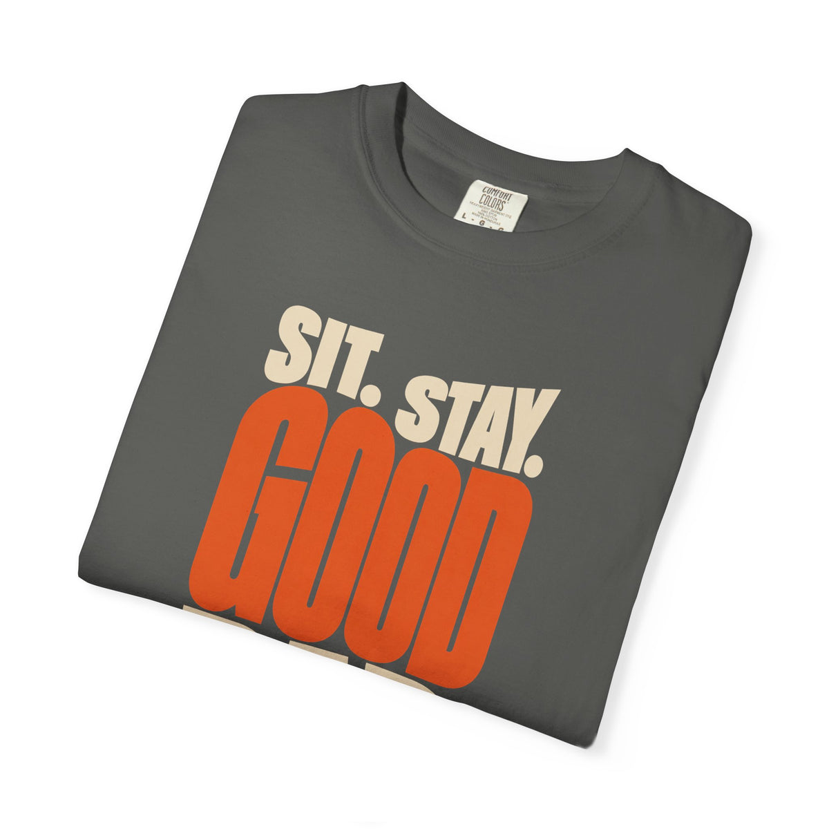 Sit Stay Good Dad Dog Dad T-Shirt