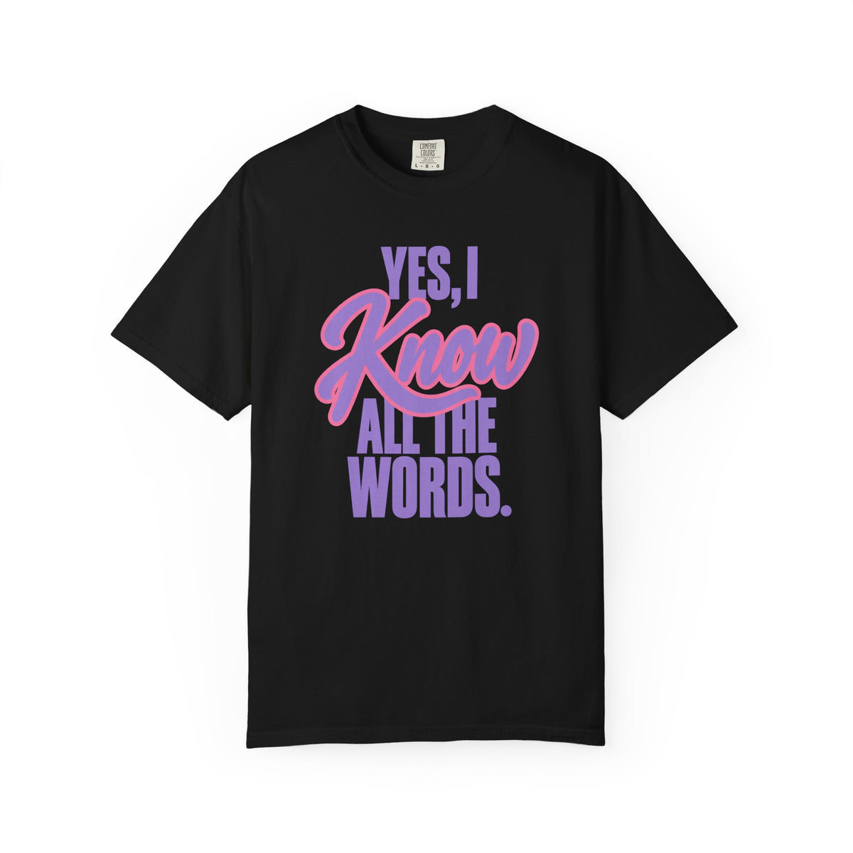 Yes, I Know All the Words Dad of Girls T-Shirt